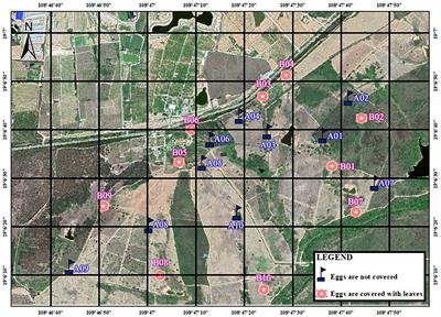 Nesting success and potential nest predators of the red Junglefowl (Gallus gallus jabouillei) based on camera traps and artificial nest experiments